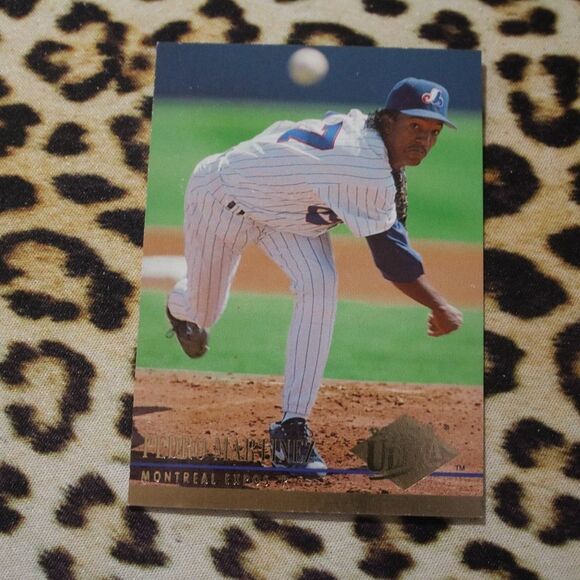 Pedro Martinez #524 Baseball Card - Picture 1 of 2